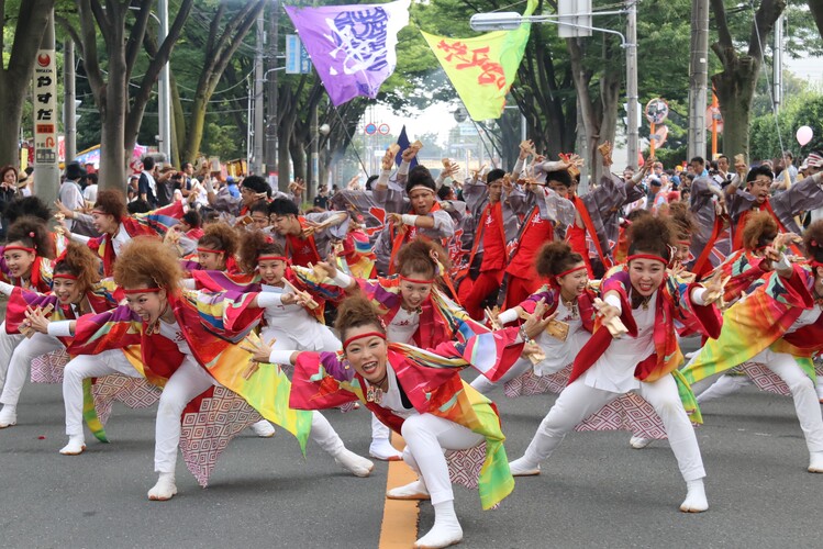 朝霞市民まつり「彩夏祭」
写真提供：朝霞市