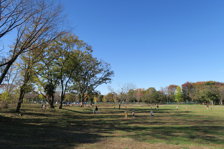 基地跡地暫定利用広場「朝霞の森」
写真提供：朝霞市