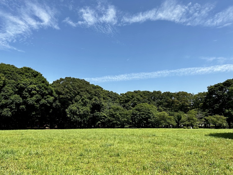 砧公園の芝生広場