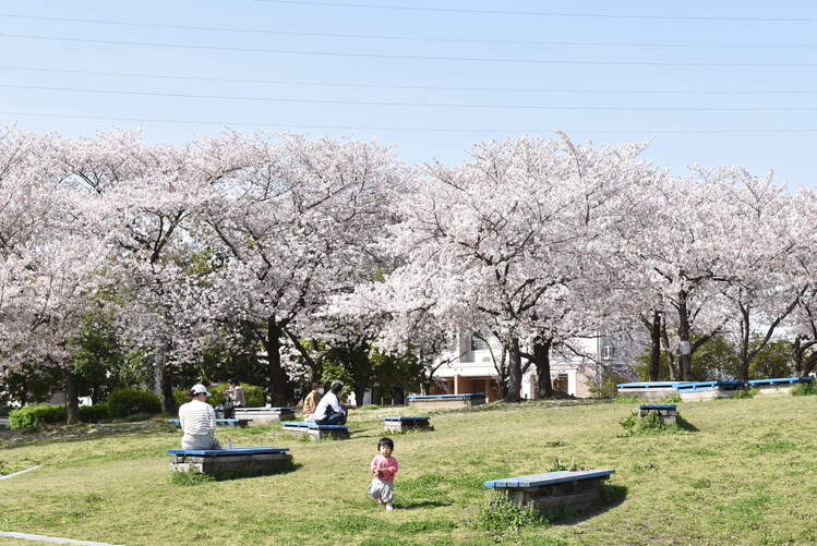 弁天池公園
写真提供：門真市