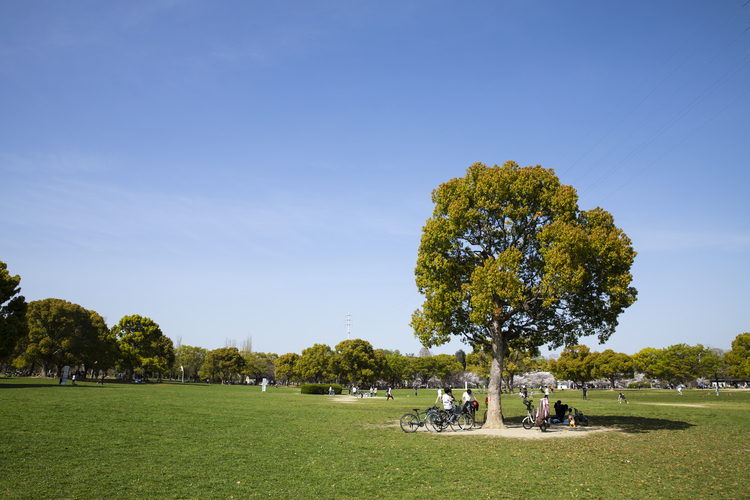花博記念公園鶴見緑地（大芝生）
©(公財)大阪観光局