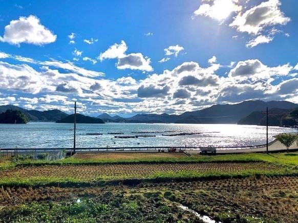 舞鶴湾に面し、海と山に囲まれた自然豊かな土地とあって、移住者は年々増えているそう