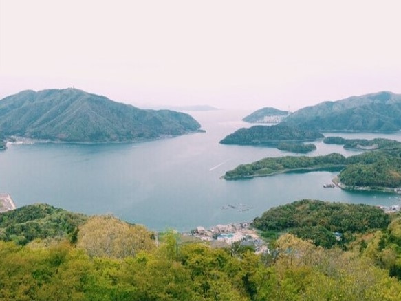 五老スカイタワーから見える舞鶴湾のリアス式海岸。牡蠣の養殖地としても有名