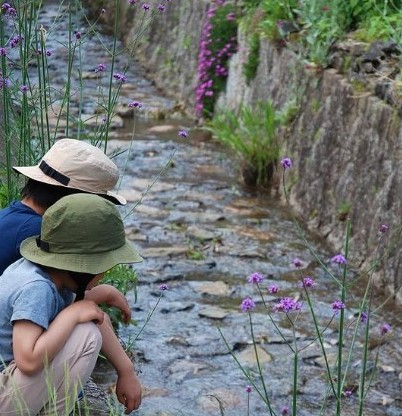 ありのままの自然に触れられることも、田舎暮らしの醍醐味