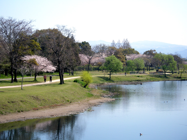 水前寺江津湖公園の遊歩道