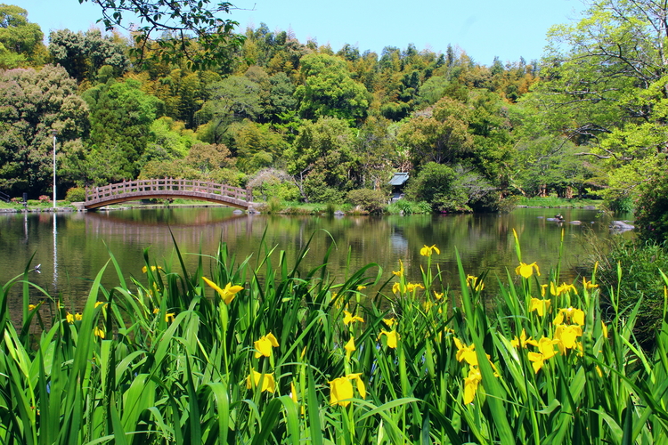 八景水谷公園