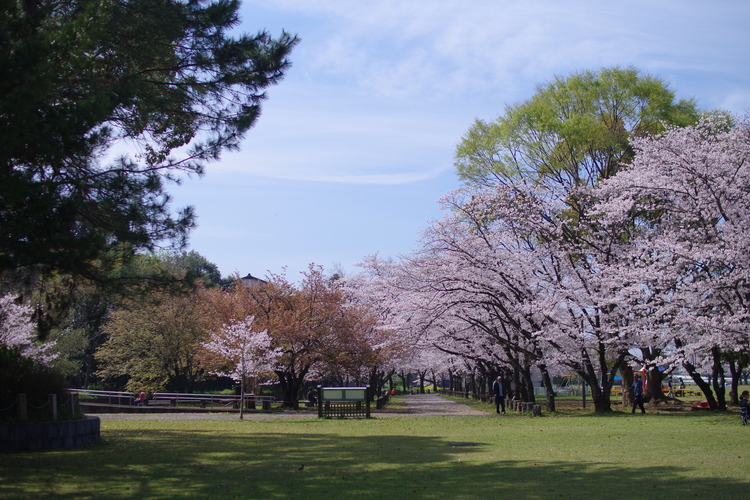 八景水谷公園