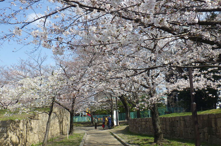 元茨木川緑地
写真提供：茨木市