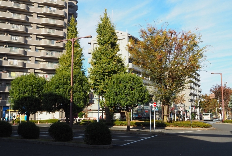 都心からは約24Km