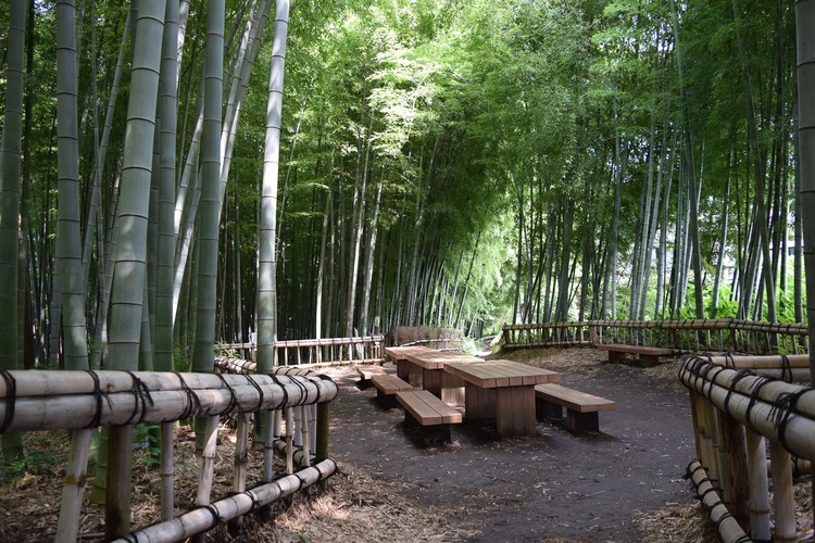 竹林公園
写真：東久留米市提供