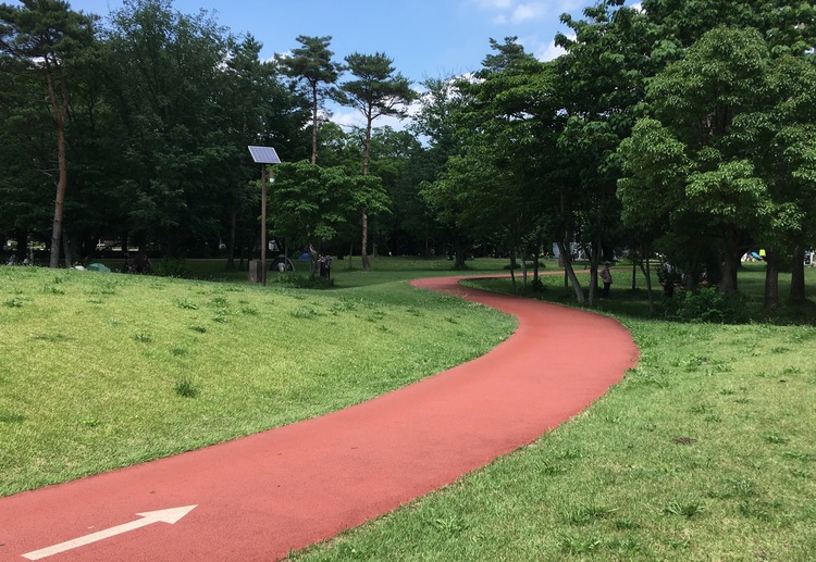 園内にはアリーナやトレーニング室も