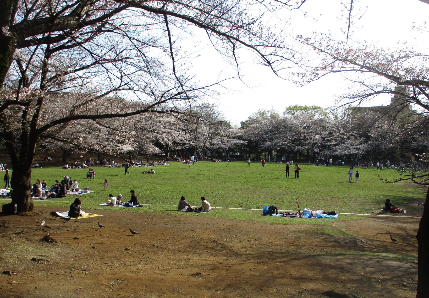 芝生広場