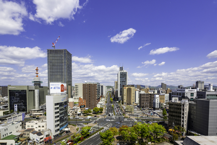 岡山市役所筋をのぞむ