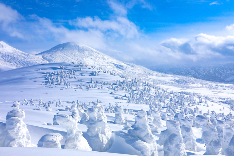 八甲田山の樹氷