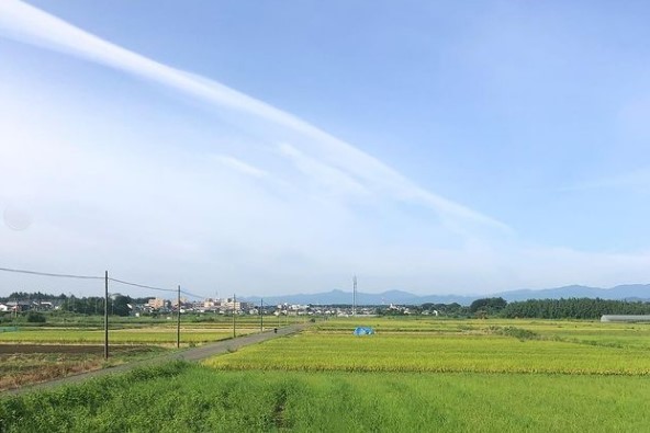 都心からわずか数十分という近さにもかかわらず、昔ながらの田園風景が広がる川越市