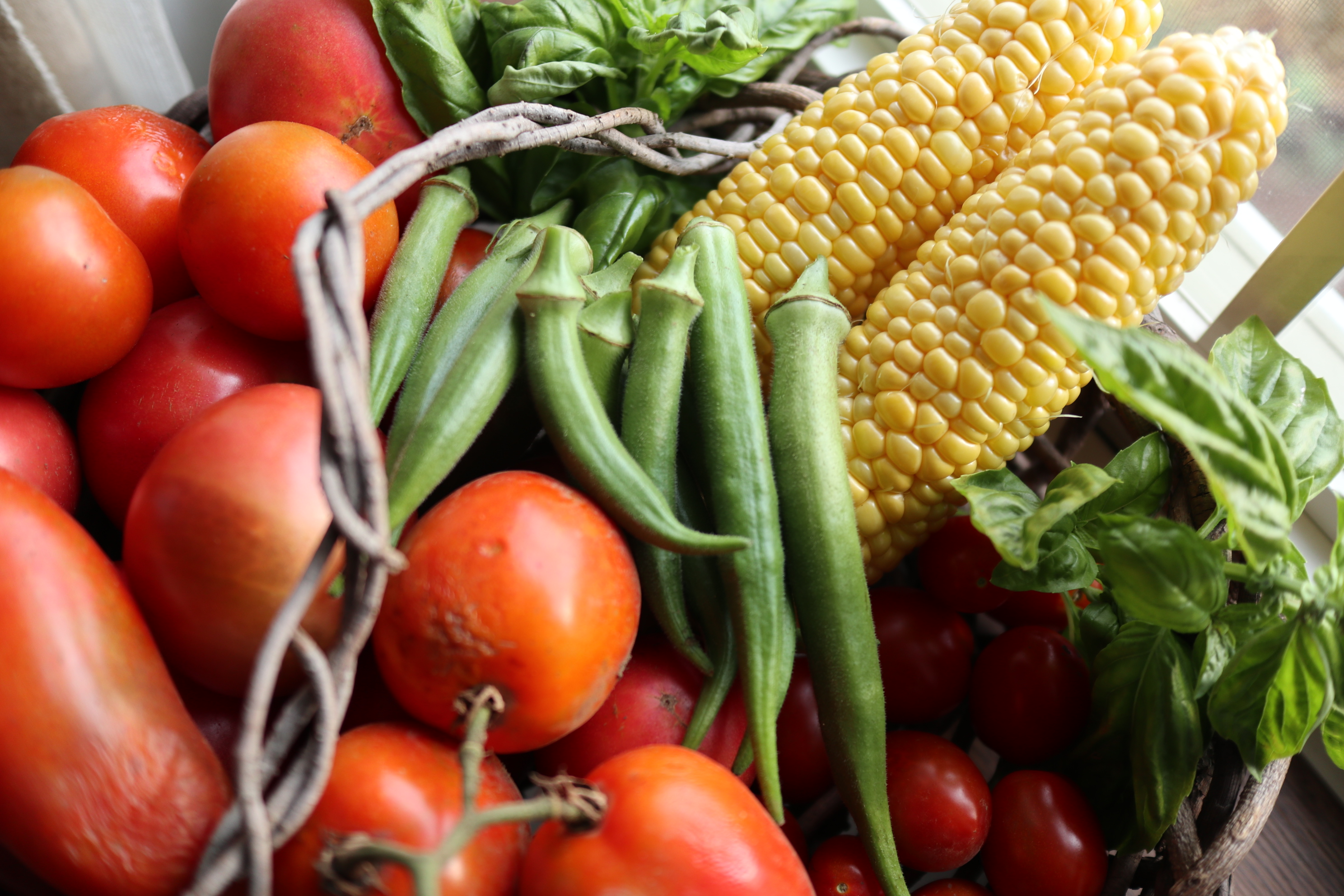 無農薬、化学肥料なしで育て、収穫した野菜はまるで大切な子どものよう