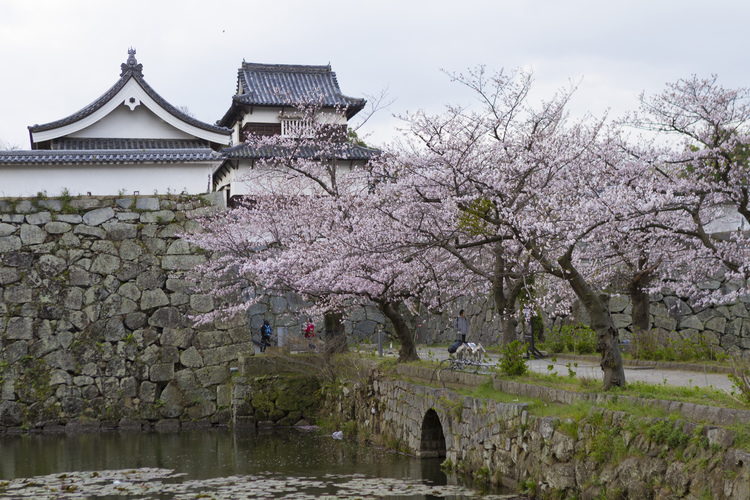 福岡城跡、鴻臚館（こうろかん）跡、運動施設を有する「舞鶴公園」。一年を通して多彩なイベントも催される
写真提供：福岡市