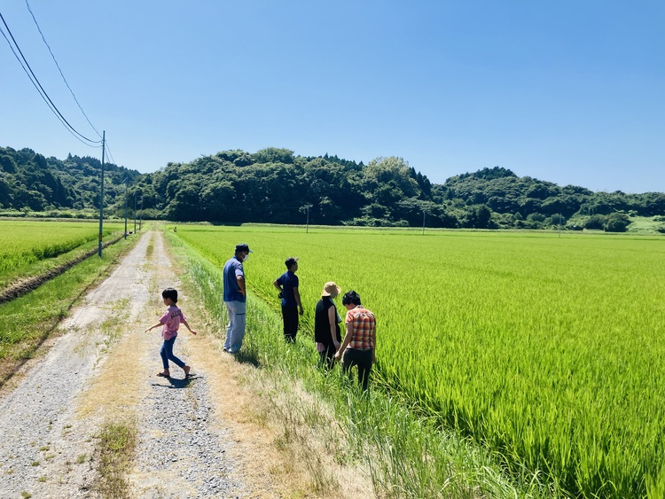 心休まる田園風景。農業に従事したいという移住者もいるとか