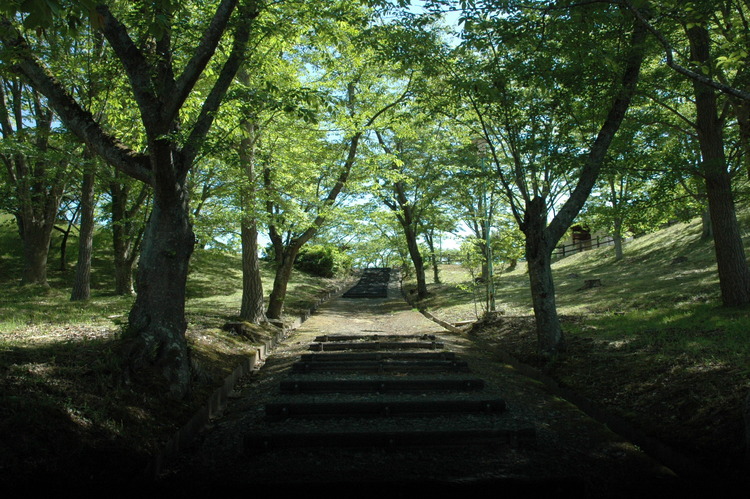 緑豊かな観光地としても知られている景観「滝山山道」