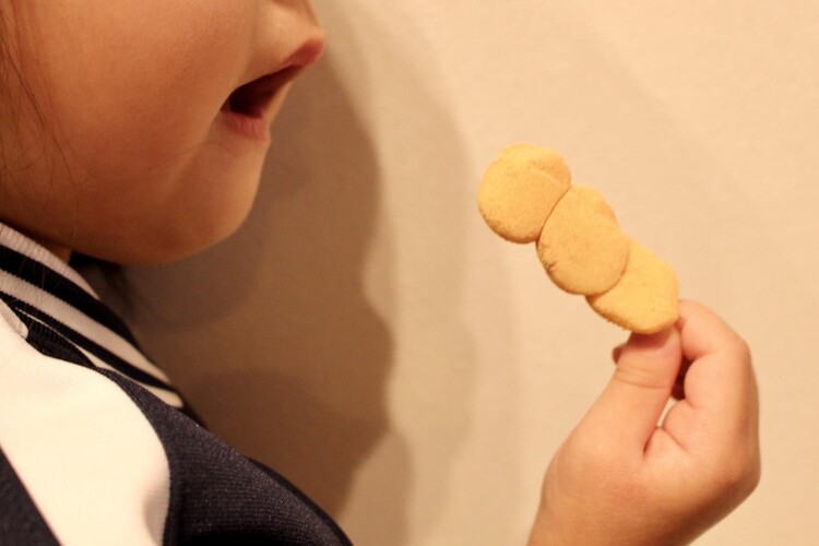 子どもが持つと、とてもしっくりくるサイズ感