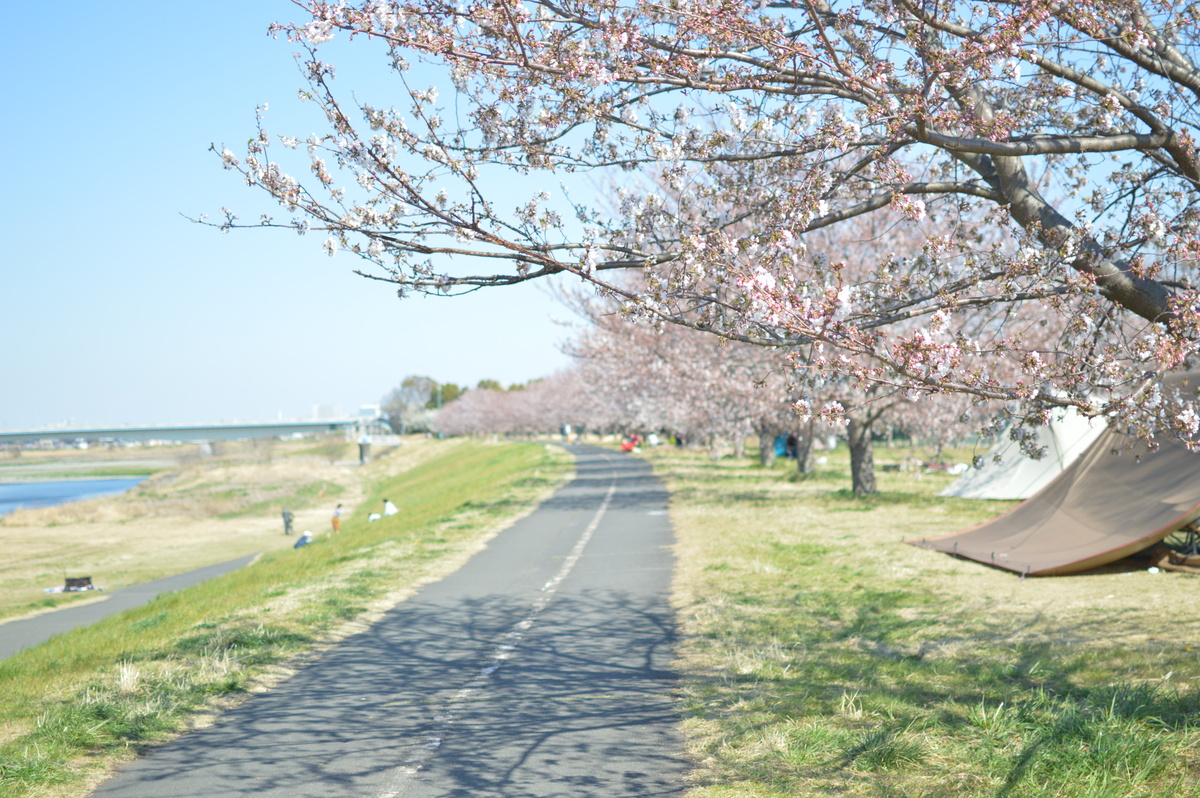 多摩丘陵や梨畑などの緑と多摩川の豊富な水に親しめる首都圏のベッドタウン・稲城市の住みやすさや治安