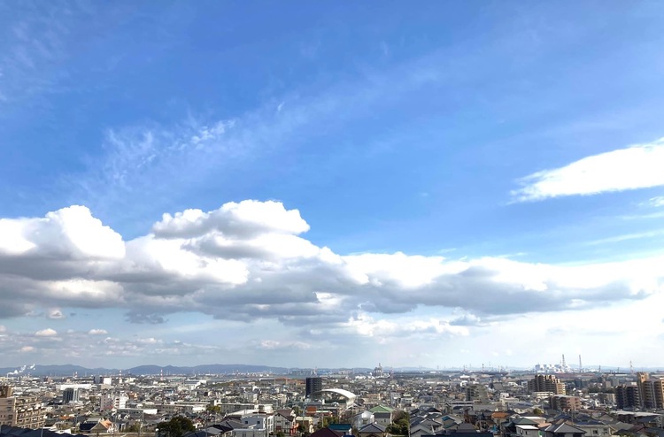 任坊山（にんぼうやま）の展望台から望む半田市。温暖な気候が影響するのか、半田市にはおおらかな人が多い気がします