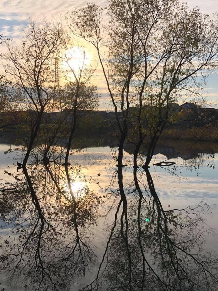 よく散歩に出かける任坊山公園。数年前に池がきれいに整備されたので、わりと新しいスポットで、市民の憩いの場になっています