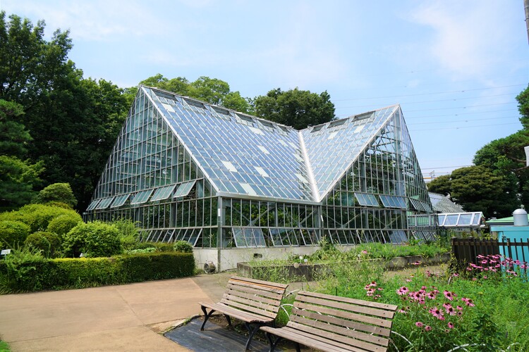 東京都薬用植物園
