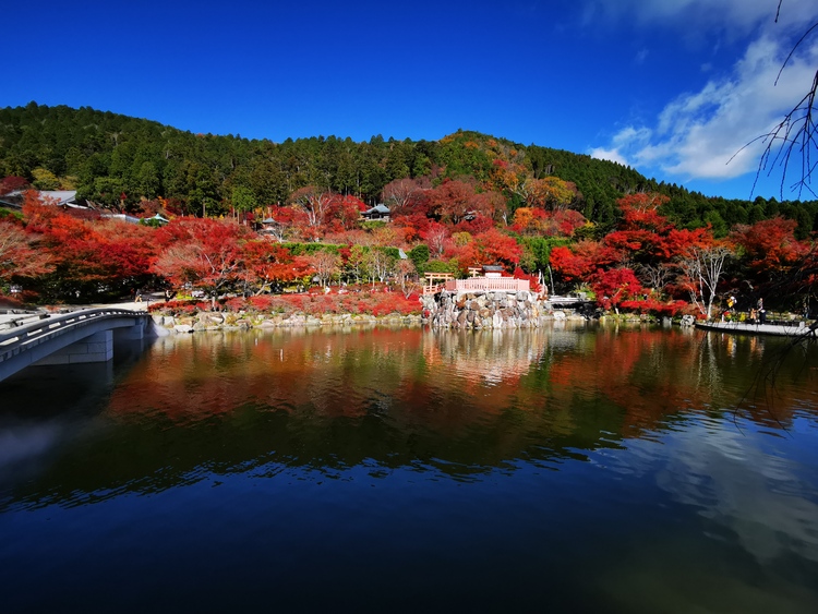 箕面公園内にある紅葉の名所「勝尾寺（かつおうじ）」
©(公財)大阪観光局