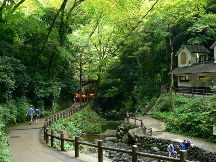 滝からのせせらぎを聞きながら歩け、森林浴もできる滝道