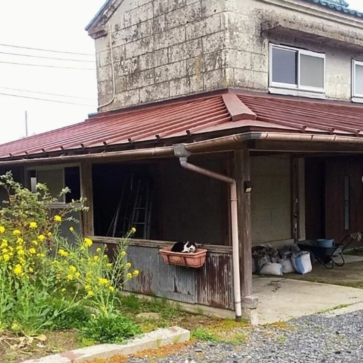 蔵つきの古民家に住み始めたものの、メンテナンスに悩まされたそう