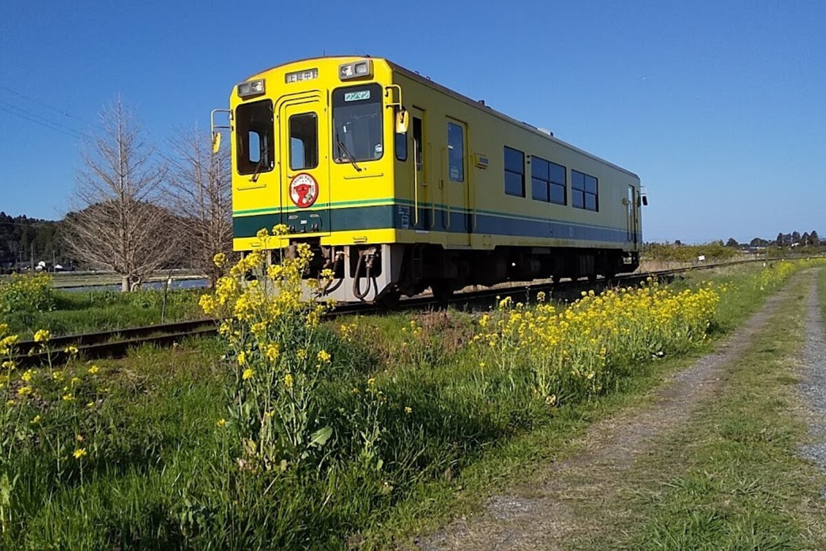 【私の移住ストーリー】～千葉県・いすみ市の暮らしをメインに、休日には東京へ戻る二拠点生活～トコ・ワイワイ（toko Y.Y）さんのケース