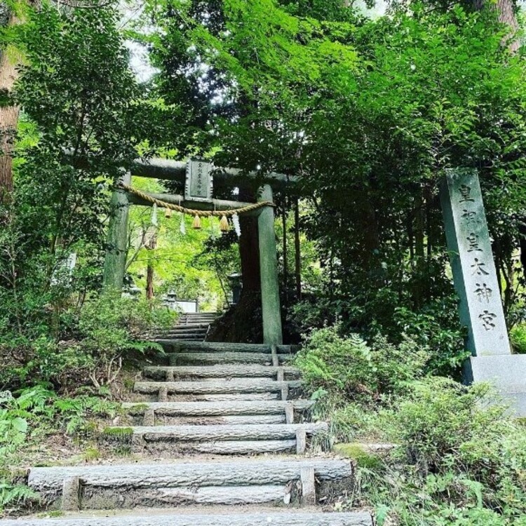 この日は散歩がてら、久しぶりに「皇祖皇太神宮」へお参りに