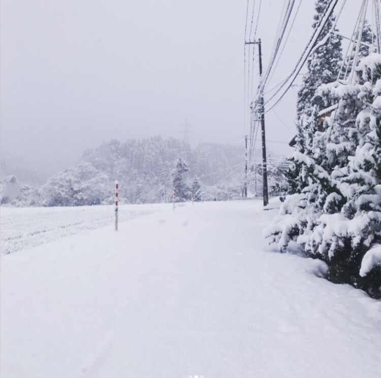 冬は田んぼも畑も雪で埋まってしまうため、外での農作業はひとまずお休み