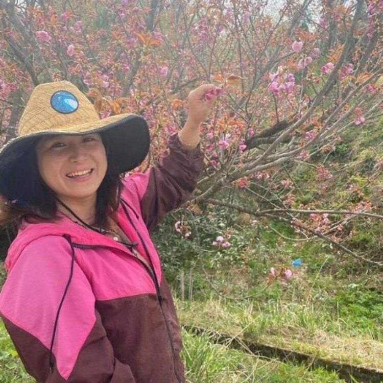 八重桜の木から、愛らしいピンクの花をちょっとだけ拝借