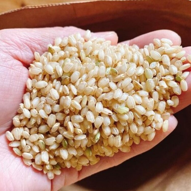 「雄山錦」と「新大正もち米」をブレンドして発売したお米