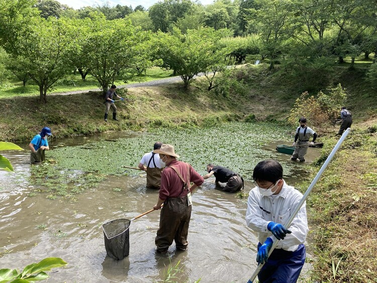 里山に生息する絶滅危惧IA類「イチモンジタナゴ（ぼてじゃこ）」を守るための清掃活動。魚好きのメンバーが集まって取り組んだ
画像提供：株式会社 叶 匠寿庵
