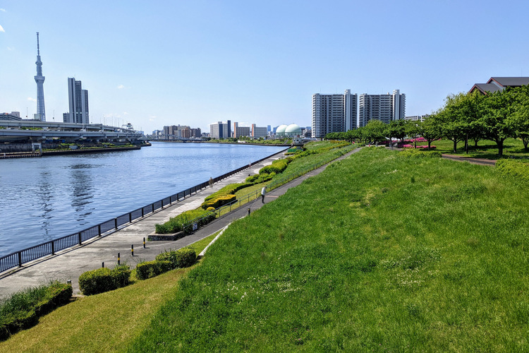 汐入公園