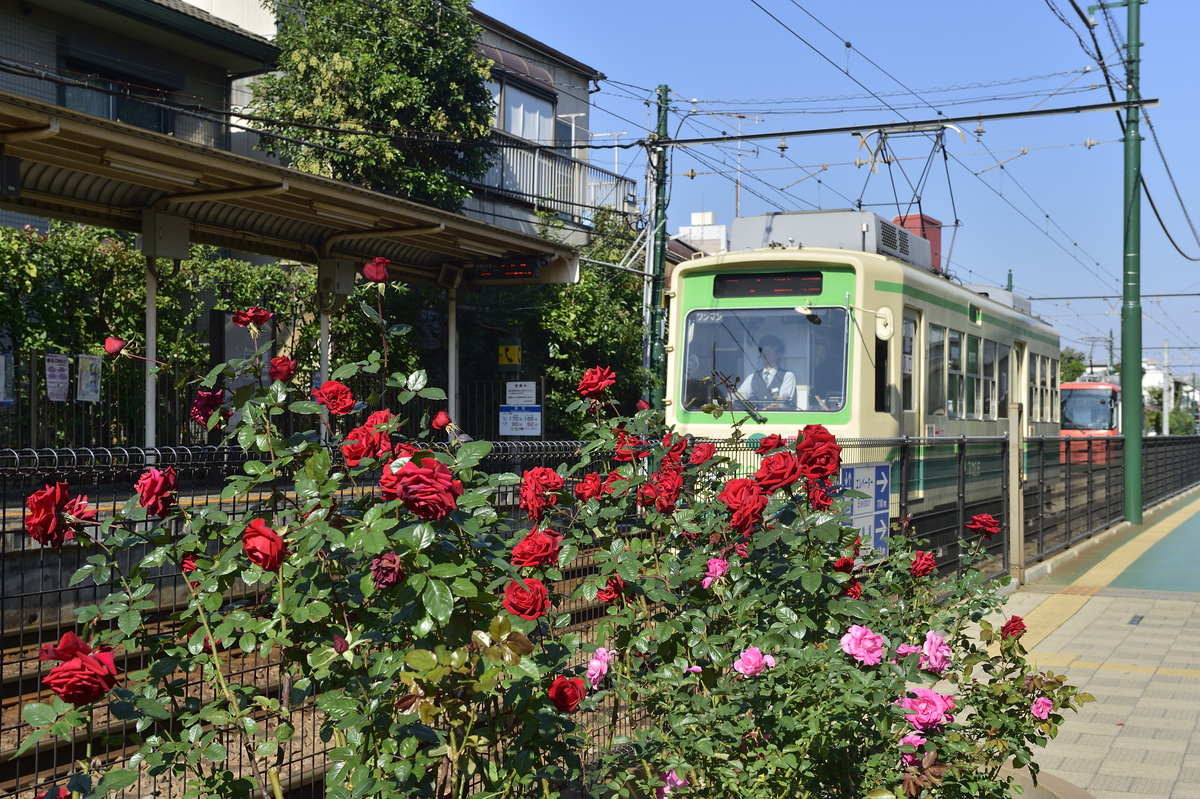 下町情緒を残しつつも再開発で便利に。住む魅力がぎゅっとつまった、東京都荒川区の住みやすさと治安