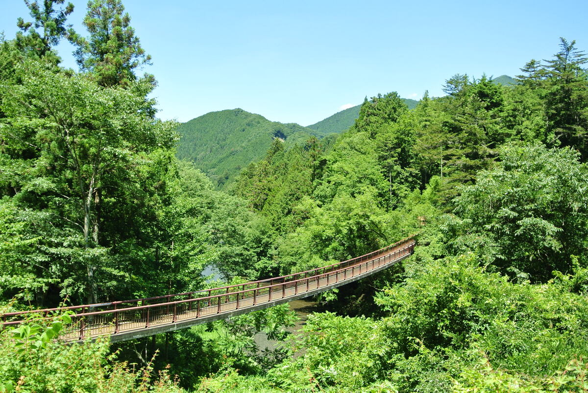 移住支援が充実。都心へ通勤しながら豊かな自然を感じる、あきる野市の住みやすさと治安を解説