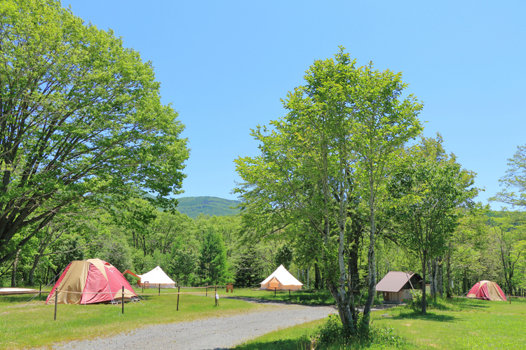 妙高戸隠連山国立公園は県内外から人が集まる人気スポット。公園内には絶景を楽しめるキャンプ場も