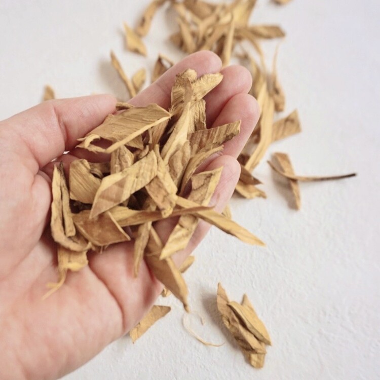 実家で見つけた黄色の染料になるキハダ。祖父の形見ともいうべきものだそう