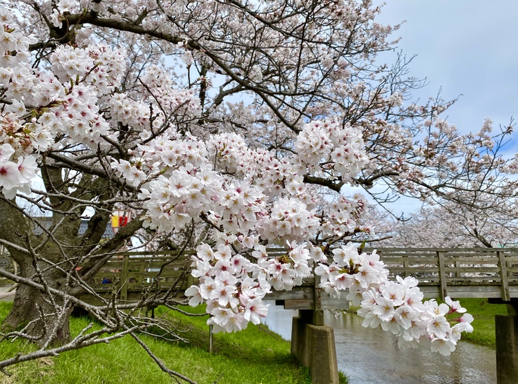 移住を考えるのなら、その土地に暮らす人へのリスペクトを忘れないことも大切なのだとか