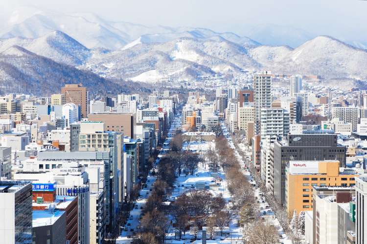 さっぽろテレビ塔から見る大倉山方面