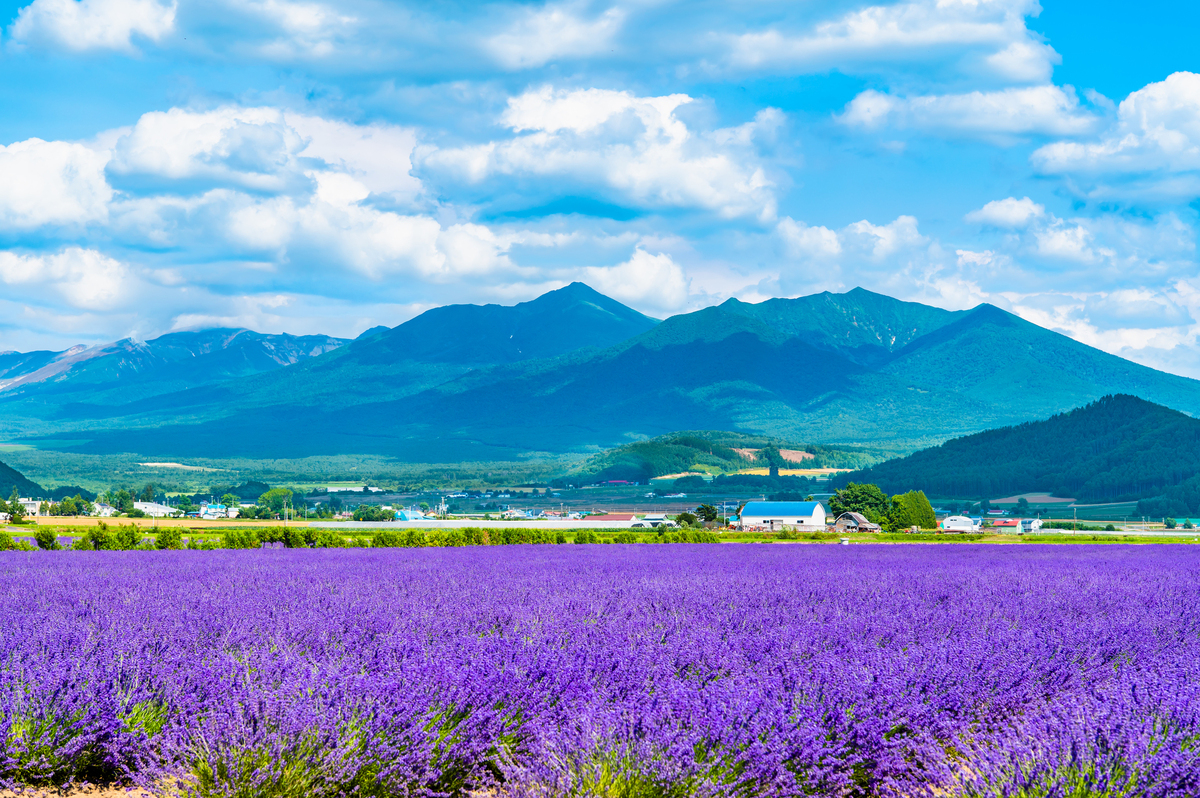 日本最北端の雄大な大地・北海道への移住関連情報＆移住メリット・デメリット