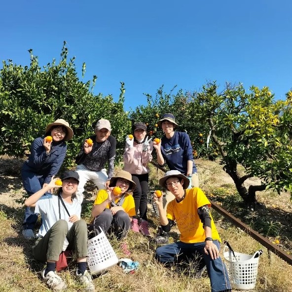 地元の人たちがみかんボランティアとして収穫などをサポート