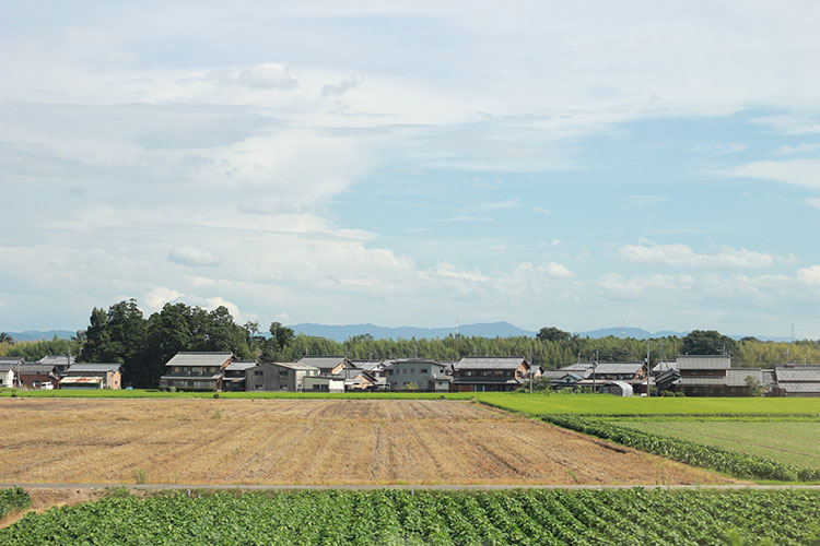 のんびりとした日本の原風景は、都会でのささくれ立った心を癒してくれた