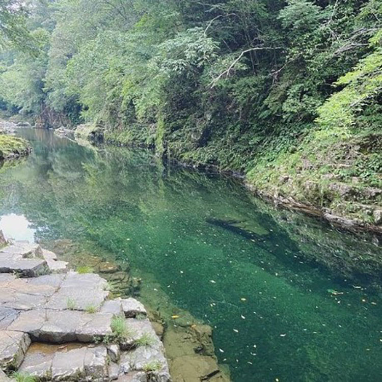 美々津町は、神武天皇が大和の国（奈良県）へ向かったときのお舟出の地としても有名