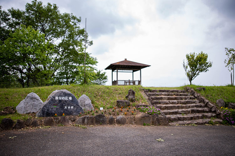 地元にある「大分県 県民の森平成森林公園」の香りの広場