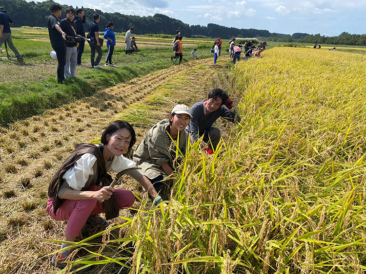 昨年行った移住相談団体ツアーでの稲刈り体験。写真中央が毛利さん